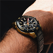 Festina Chrono Bike