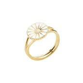 Ringe
