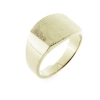 Billede af Ring massiv lukket bund, rek. plade 14*11,3 mm. 925s. forgyldt (forgyldning vil blive slidt af ved brug !)