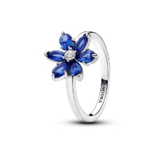 Billede af Pandora Funklende Blå Herbarium Klynge ring (str. 52)