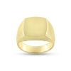 Billede af Herrering massiv lukket bund, plade 14*15 mm. 14 kt. 