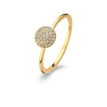 Billede af Spirit Icons ring Grace sølv forgyldt cz str 52