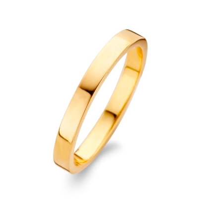 Billede af Spirit Icons, ring, Raw, sølv fg, str. 48-60