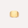 Billede af IX Studios Octagon Signet ring sølv forgyldt (str 54)