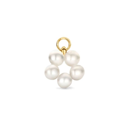 Billede af Spirit Icons Coco Drop Pearl vedhæng til hoops 14 karat guld m. fvp