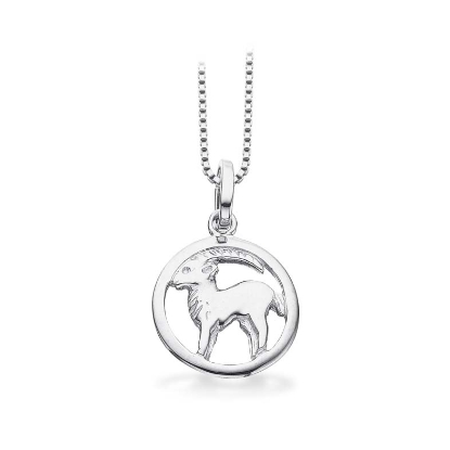 Billede af *Stjernetegn Stenbuk sølv