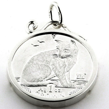 Billede af Vedhæng med stor sølv mønt/medalje, massivt sølv 