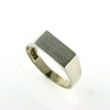 Billede af Ring m. plade 6*12 mm 925s