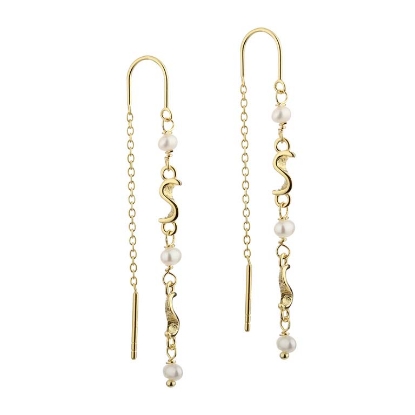 Billede af Aqua Dulce Rhumba Earthread øreringe forgyldt sølv m. fvp