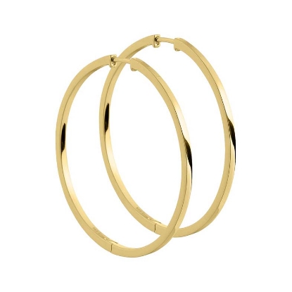 Billede af Aqua Dulce Margot creoler forgyldt sølv (35 mm)