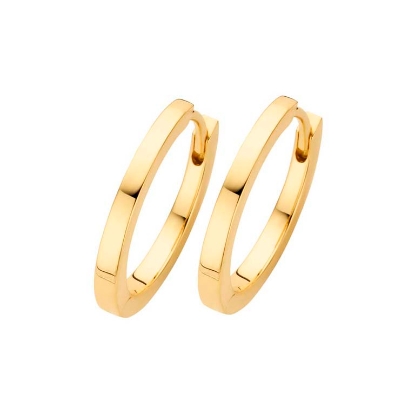 Billede af Spirit Icons Passion ørecreol lille sølv forgyldt