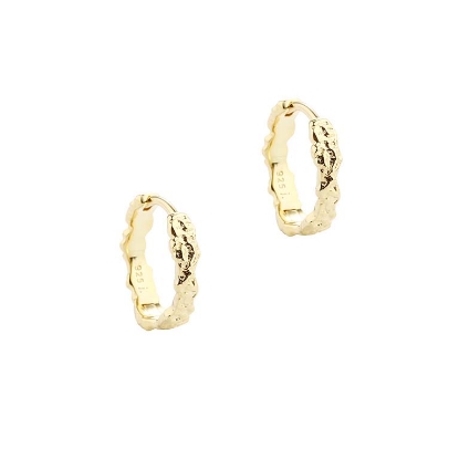 Billede af Aqua Dulce New Mila øreringe forgyldt sølv (15 mm)