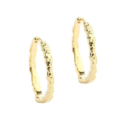 Billede af Aqua Dulce New Mila øreringe forgyldt sølv (25 mm)