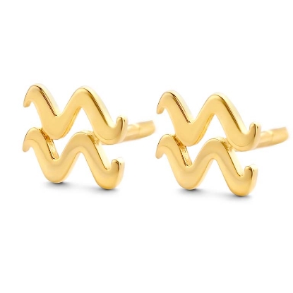 Billede af Spirit Icons stjernetegn ørestikker "Vandmanden" sølv forg