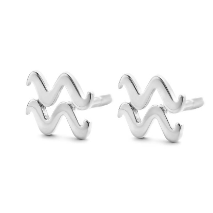 Billede af Spirit Icons ørestik `Vandmanden` stjernetegn sølv