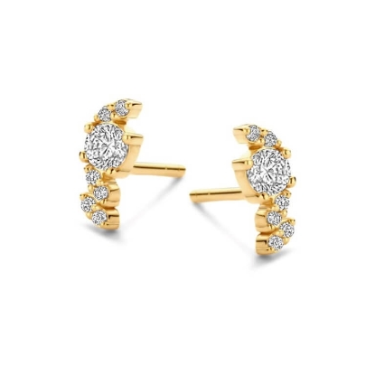 Billede af Spirit Icons Sia øreringe forgyldt sølv m. cz