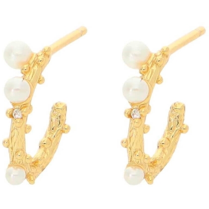 Billede af Nuni Copenhagen Gloria-Small øreringe forgyldt sølv m. fvp+cz