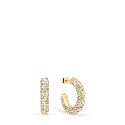 Billede af Bering Arctic Symphony øreringe poleret forgyldt stål m. cz