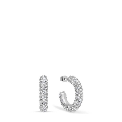 Billede af Bering Arctic Symphony øreringe poleret stål m. cz