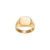 Billede af SON of NOA Ring m. plade forgyldt stål (str. 70)
