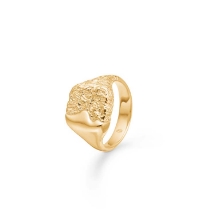 Billede af Studio Z "Edge" ring forgyldt sølv (str. 54)
