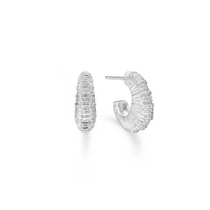 Billede af Studio Z "Seashell Secrets" øreringe sølv