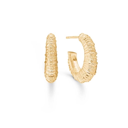 Billede af Studio Z "Seashell Secrets" øreringe forgyldt sølv