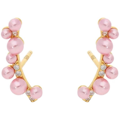 Billede af Nuni Copenhagen Philadelphia Rose øreringe forgyldt sølv m. fvp+cz