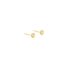 Billede af Aqua Dulce Line Coin (4mm) øreringe forgyldt sølv