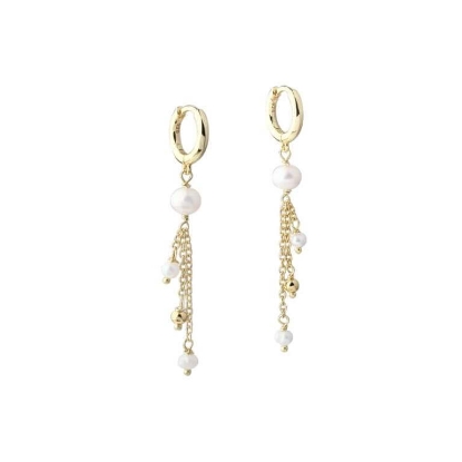 Billede af Aqua Dulce Lunella Hoop øreringe forgyldt sølv m. fvp