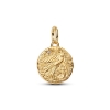 Billede af Pandora Svale Medaljon charm forgyldt metalblanding m. cz