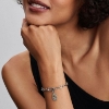 Billede af Pandora Rose Medaljoncharm sølv + forgyldt metalblanding