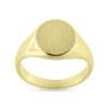 Billede af Herrering massiv m. oval plade 14*12 mm 925 s. forgyldt (forgyldning vil blive slidt af ved brug !)