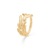Billede af Studio Z "Reef Essence" ring forgyldt sølv (str. 56)
