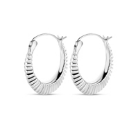 Billede til varegruppe Øreringe hvidguld