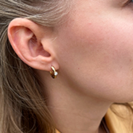 Billede til varegruppe Øreringe