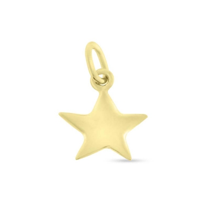 Billede af Vedhæng stjerne, massiv 14 kt.