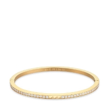 Billede af Bering Arctic Symphony armring stål gulddoublé m. krystal (190mm)