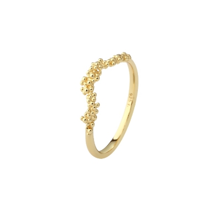 Billede af Aqua Dulce Aya ring forgyldt sølv (str. 52-62)