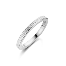 Billede af Spirit Icons Canis (S) ring sølv (str. 52)