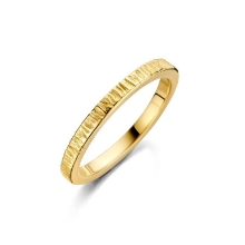 Billede af Spirit Icons Canis (S) ring forgyldt sølv (str. 58)