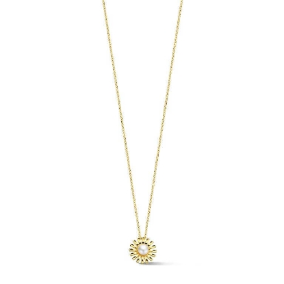 Billede af Spirit Icons Daisy Pendant halskæde forgyldt sølv m. fvp (42-45 cm)