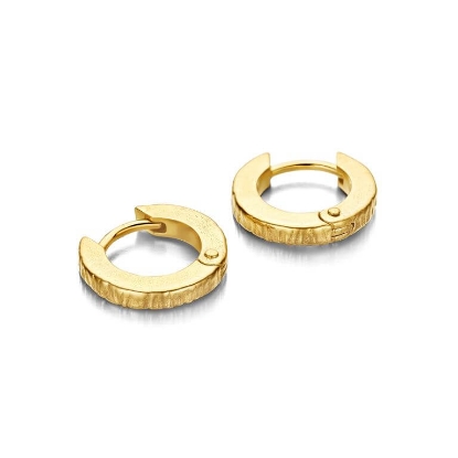 Billede af Spirit Icons Canis Hoop øreringe forgyldt sølv (12 mm)