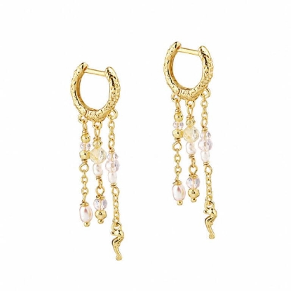 Billede af Aqua Dulce Costa Rose Hoop øreringe forgyldt sølv m. fvp + sten