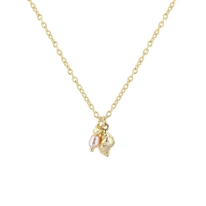 Billede af Aqua Dulce Costa Rose halskæde forgyldt sølv m. fvp (42 + 3 cm)