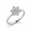 Billede af Rosetring med 7 brill. a 0,09 w/vs. 14 kt. hvg.