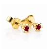 Billede af "Dreamy Ruby" øreringe m. rubin 2*2,5 mm (ca a 0,06 ct) i 14 kt