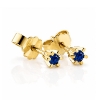 Billede af "Dreamy Sapphire" øreringe m. safir 2*2,5 mm (ca a 0,06 ct) i 14 kt
