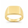 Billede af Ring massiv lukket bund, rek. plade 14*11,3 mm. 925s. forgyldt (forgyldning vil blive slidt af ved brug !)