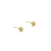 Billede af Aqua Dulce Dreamlit Small Star øreringe forgyldt sølv m. cz